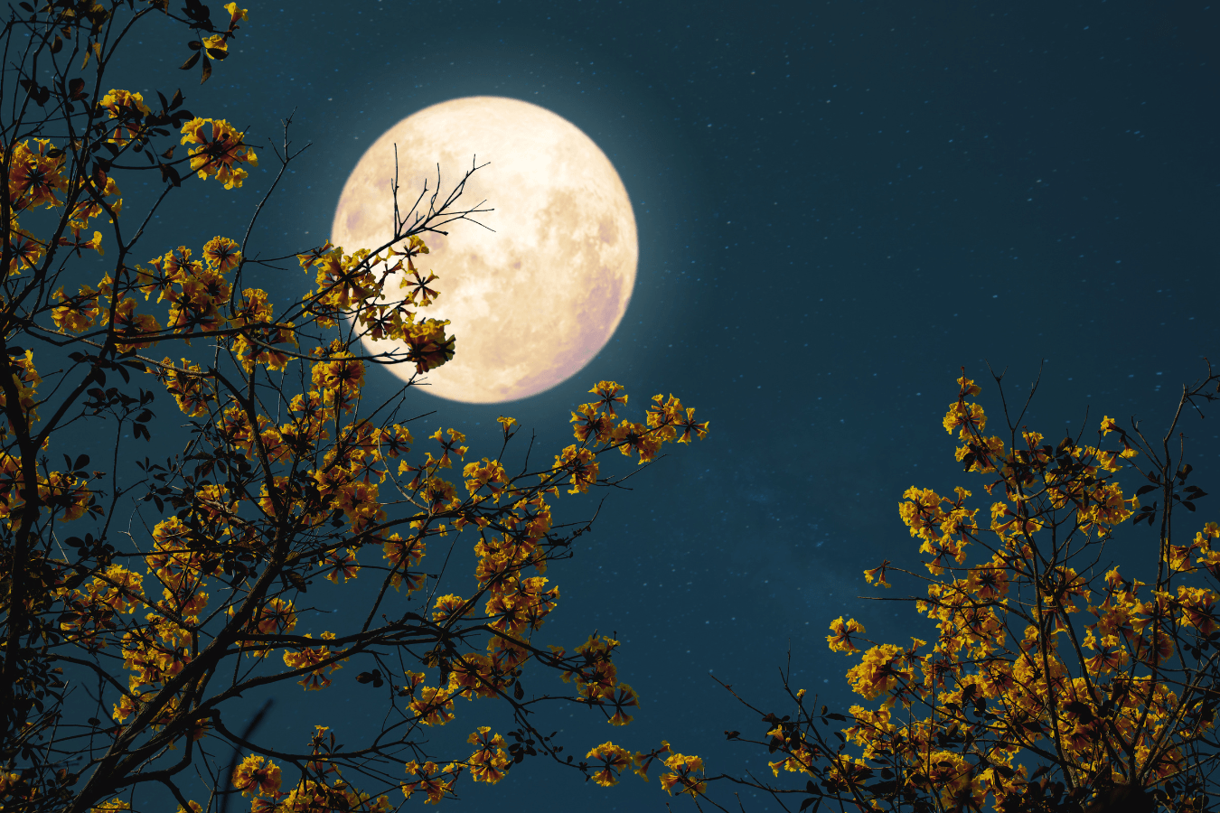 Dreaming of Full Moon: What Does It Mean?