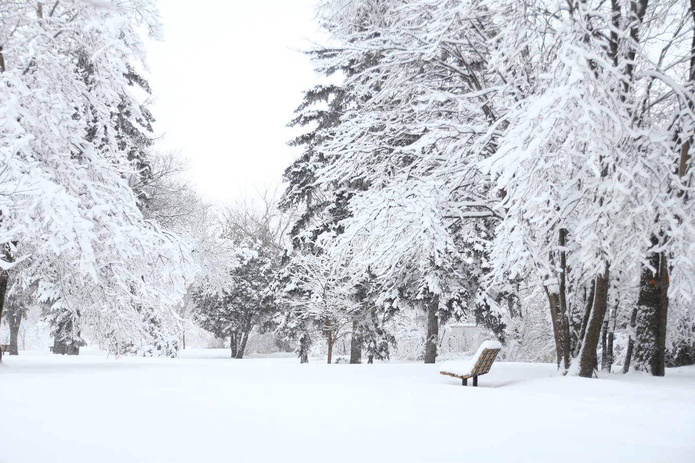 Dreaming of Snow Meaning